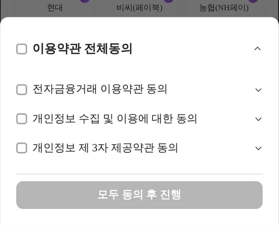 나이스페이 약관에 동의 (이 화면은 한국어로만 나옵니다)