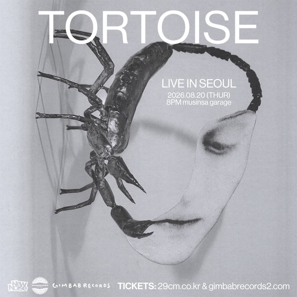 Tortoise Live in Seoul